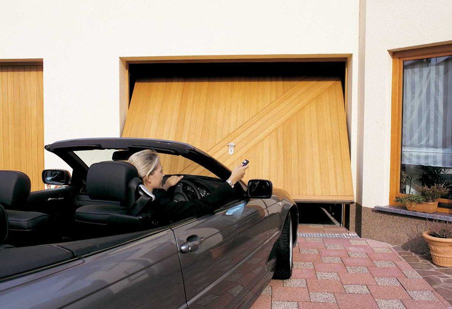 力马.jpg 力马.jpg